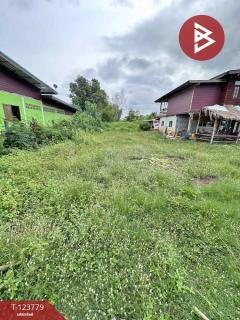 ขายที่ดิน เนื้อที่ 1 งาน 94 ตร.วา บ้านดุง อุดรธานี-202511021530561762072256081.jpg