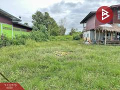 ขายที่ดิน เนื้อที่ 1 งาน 94 ตร.วา บ้านดุง อุดรธานี-202511021530561762072256629.jpg