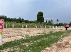 ขายที่ดินข้างราชภัฎสกลนคร บ้านดงพัฒนา-202511031043261762141406664.jpg