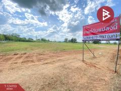 ขายที่ดิน เนื้อที่ 5 ไร่ 2 งาน 30.2 ตร.วา บ้านทุ่ม ขอนแก่น-202511031236101762148170081.jpg