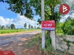 ขายที่ดิน เนื้อที่ 5 ไร่ 2 งาน 30.2 ตร.วา บ้านทุ่ม ขอนแก่น-202511031236131762148173465.jpg