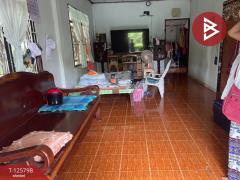 ขายบ้านเดี่ยวพร้อมที่ดิน เนื้อที่ 167 ตารางวา ประโคนชัย บุรีรัมย์-202511031418291762154309631.jpg