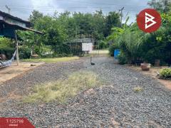 ขายบ้านเดี่ยวพร้อมที่ดิน เนื้อที่ 167 ตารางวา ประโคนชัย บุรีรัมย์-202511031418321762154312321.jpg