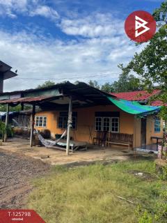 ขายบ้านเดี่ยวพร้อมที่ดิน เนื้อที่ 167 ตารางวา ประโคนชัย บุรีรัมย์-202511031418321762154312880.jpg