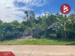 ขายบ้านเดี่ยวพร้อมที่ดิน เนื้อที่ 167 ตารางวา ประโคนชัย บุรีรัมย์-202511031418331762154313420.jpg