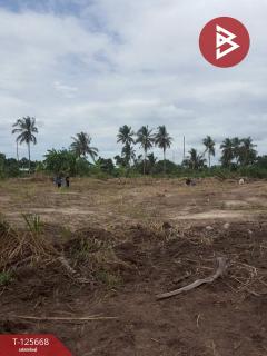 ขายที่ดิน เนื้อที่ 39 ไร่ 23 ตารางวา ปราณบุรี ประจวบคีรีขันธ์-202511031422281762154548035.jpg