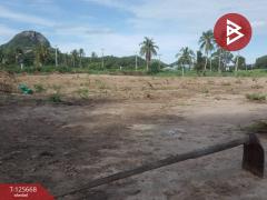 ขายที่ดิน เนื้อที่ 39 ไร่ 23 ตารางวา ปราณบุรี ประจวบคีรีขันธ์-202511031422281762154548578.jpg