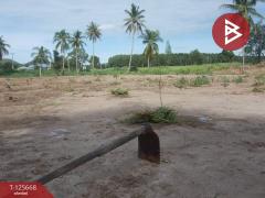 ขายที่ดิน เนื้อที่ 39 ไร่ 23 ตารางวา ปราณบุรี ประจวบคีรีขันธ์-202511031422291762154549129.jpg