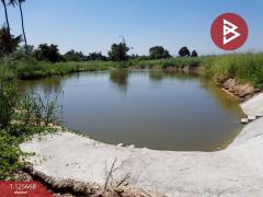 ขายที่ดิน เนื้อที่ 39 ไร่ 23 ตารางวา ปราณบุรี ประจวบคีรีขันธ์-202511031422301762154550207.jpg