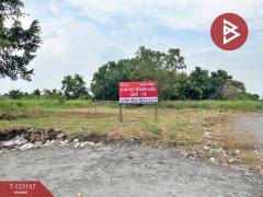 ขาย/เช่า ที่ดิน เนื้อที่ 1 ไร่ ลำลูกกา ปทุมธานี-202511031439121762155552447.jpg