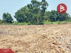 ขาย/เช่า ที่ดิน เนื้อที่ 1 ไร่ ลำลูกกา ปทุมธานี-202511031439131762155553197.jpg