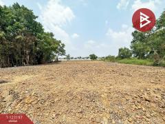 ขาย/เช่า ที่ดิน เนื้อที่ 1 ไร่ ลำลูกกา ปทุมธานี-202511031439131762155553733.jpg