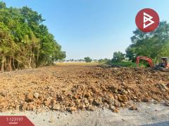 ขาย/เช่า ที่ดิน เนื้อที่ 1 ไร่ ลำลูกกา ปทุมธานี-202511031439141762155554274.jpg