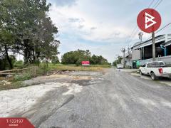 ขาย/เช่า ที่ดิน เนื้อที่ 1 ไร่ ลำลูกกา ปทุมธานี-202511031439141762155554815.jpg