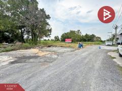 ขาย/เช่า ที่ดิน เนื้อที่ 1 ไร่ ลำลูกกา ปทุมธานี-202511031439151762155555348.jpg