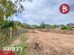 ขายด่วนที่ดิน เนื้อที่ 396 ตารางวา ห้วยยาง ขอนแก่น-202511031527451762158465876.jpg