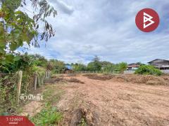 ขายด่วนที่ดิน เนื้อที่ 396 ตารางวา ห้วยยาง ขอนแก่น-202511031527461762158466420.jpg