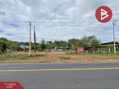 ขายด่วนที่ดิน เนื้อที่ 396 ตารางวา ห้วยยาง ขอนแก่น-202511031527481762158468043.jpg