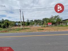 ขายด่วนที่ดิน เนื้อที่ 396 ตารางวา ห้วยยาง ขอนแก่น-202511031527501762158470177.jpg