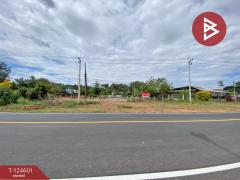 ขายด่วนที่ดิน เนื้อที่ 396 ตารางวา ห้วยยาง ขอนแก่น-202511031527511762158471237.jpg