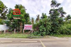 ที่ดินเปล่า ซอยสามร้อยยอด 23 เนื้อที่ 330 ตร.ว (ใกล้หาดสามร้อยยอด) ถนนเพชรเกษม ตำบลสามร้อยยอด อำเภอสามร้อยยอด จังหวัดประจวบคีรีขันธ์