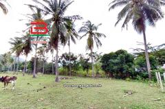 ที่ดินเปล่า ซอยสามร้อยยอด 23 เนื้อที่ 330 ตร.ว (ใกล้หาดสามร้อยยอด) ถนนเพชรเกษม ตำบลสามร้อยยอด อำเภอสามร้อยยอด จังหวัดประจวบคีรีขันธ์-202511031534341762158874351.jpg