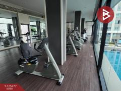 ขายคอนโดมิเนียม โครงการดีคอนโด สาธุประดิษฐ์49 (D Condo Sathu Pradit 49) ยานนาวา กรุงเทพมหานคร-202511031559491762160389719.jpg