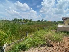 ขายที่ดินสวย เหมาะสำหรับ สร้างเพื่ออยู่อาศัย หรือเพื่อการลงทุนในอนาคต ด้านติดถนน ด้านหลังติดคลองตาชม