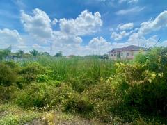 ขายที่ดินสวย เหมาะสำหรับ สร้างเพื่ออยู่อาศัย หรือเพื่อการลงทุนในอนาคต ด้านติดถนน ด้านหลังติดคลองตาชม-202511031636231762162583665.jpg