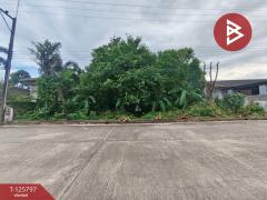 ขายที่ดิน-เนื้อที่-1-งาน-30-ตร.วา-ท่าช้า