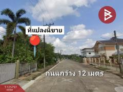 ขายที่ดิน เนื้อที่ 1 งาน 30 ตร.วา ท่าช้าง จันทบุรี-202511031648291762163309525.jpg