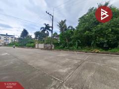 ขายที่ดิน เนื้อที่ 1 งาน 30 ตร.วา ท่าช้าง จันทบุรี-202511031648311762163311674.jpg