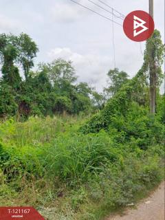 ขายที่ดิน เนื้อที่ 1 งาน หนองจอก กรุงเทพมหานคร-202511031656141762163774142.jpg