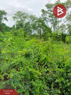 ขายที่ดิน เนื้อที่ 1 งาน หนองจอก กรุงเทพมหานคร-202511031656141762163774685.jpg