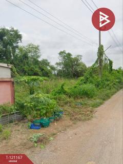 ขายที่ดิน เนื้อที่ 1 งาน หนองจอก กรุงเทพมหานคร-202511031656151762163775223.jpg