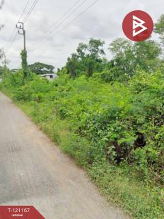 ขายที่ดิน เนื้อที่ 1 งาน หนองจอก กรุงเทพมหานคร-202511031656151762163775754.jpg