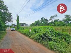 ขายที่ดิน เนื้อที่ 1 งาน หนองจอก กรุงเทพมหานคร-202511031656161762163776287.jpg