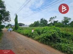 ขายที่ดิน เนื้อที่ 1 งาน หนองจอก กรุงเทพมหานคร-202511031656161762163776830.jpg