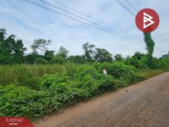 ขายที่ดิน เนื้อที่ 1 งาน หนองจอก กรุงเทพมหานคร-202511031656171762163777381.jpg