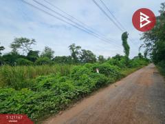 ขายที่ดิน เนื้อที่ 1 งาน หนองจอก กรุงเทพมหานคร-202511031656171762163777927.jpg