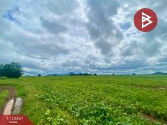 ขายที่ดินเปล่า เนื้อที่ 24 ไร่ 1 งาน 87 ตารางวา ตากฟ้า นครสวรรค์