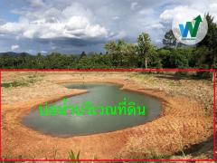 ที่ดินเปล่า 9ไร่ 3 งาน 66.4ตารางวา ต.บ้านกลาง อ.หล่มสัก จ.เพชรบูรณ์-202511031713441762164824594.jpg