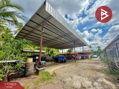 ขายบ้านเดี่ยวชั้นเดียว เนื้อที่ 3 งาน 76 ตร.วา บ้านปรก สมุทรสงคราม-202511031718091762165089718.jpg