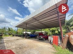 ขายบ้านเดี่ยวชั้นเดียว เนื้อที่ 3 งาน 76 ตร.วา บ้านปรก สมุทรสงคราม-202511031718101762165090699.jpg