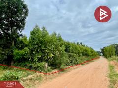 ขายที่ดิน เนื้อที่ 48 ไร่ 3 งาน บ้านไผ่ ขอนแก่น