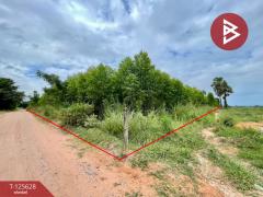 ขายที่ดิน เนื้อที่ 48 ไร่ 3 งาน บ้านไผ่ ขอนแก่น-202511031738431762166323099.jpg