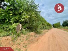 ขายที่ดิน เนื้อที่ 48 ไร่ 3 งาน บ้านไผ่ ขอนแก่น-202511031738431762166323643.jpg