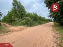 ขายที่ดิน เนื้อที่ 48 ไร่ 3 งาน บ้านไผ่ ขอนแก่น-202511031738441762166324962.jpg