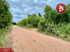 ขายที่ดิน เนื้อที่ 48 ไร่ 3 งาน บ้านไผ่ ขอนแก่น-202511031738461762166326079.jpg