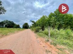 ขายที่ดิน เนื้อที่ 48 ไร่ 3 งาน บ้านไผ่ ขอนแก่น-202511031738461762166326627.jpg